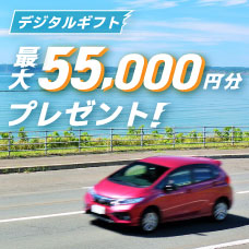 車でGO！GO！キャンペーン